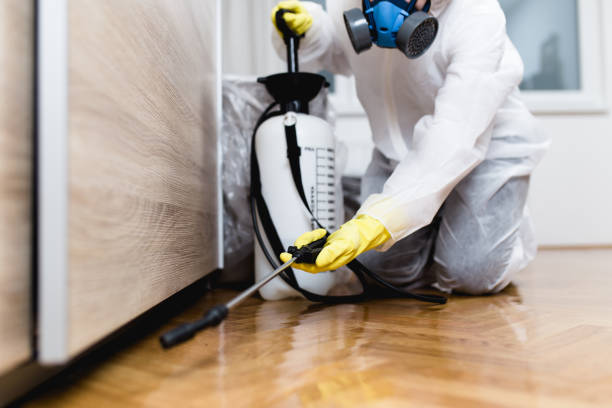 Best Affordable Pest Control Services  in Flemingsburg, KY