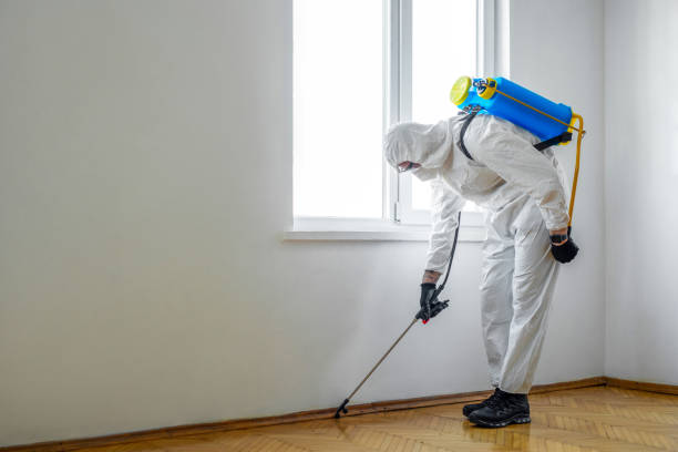 Best Exterminator Services  in Flemingsburg, KY